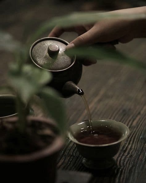 Tea Experience